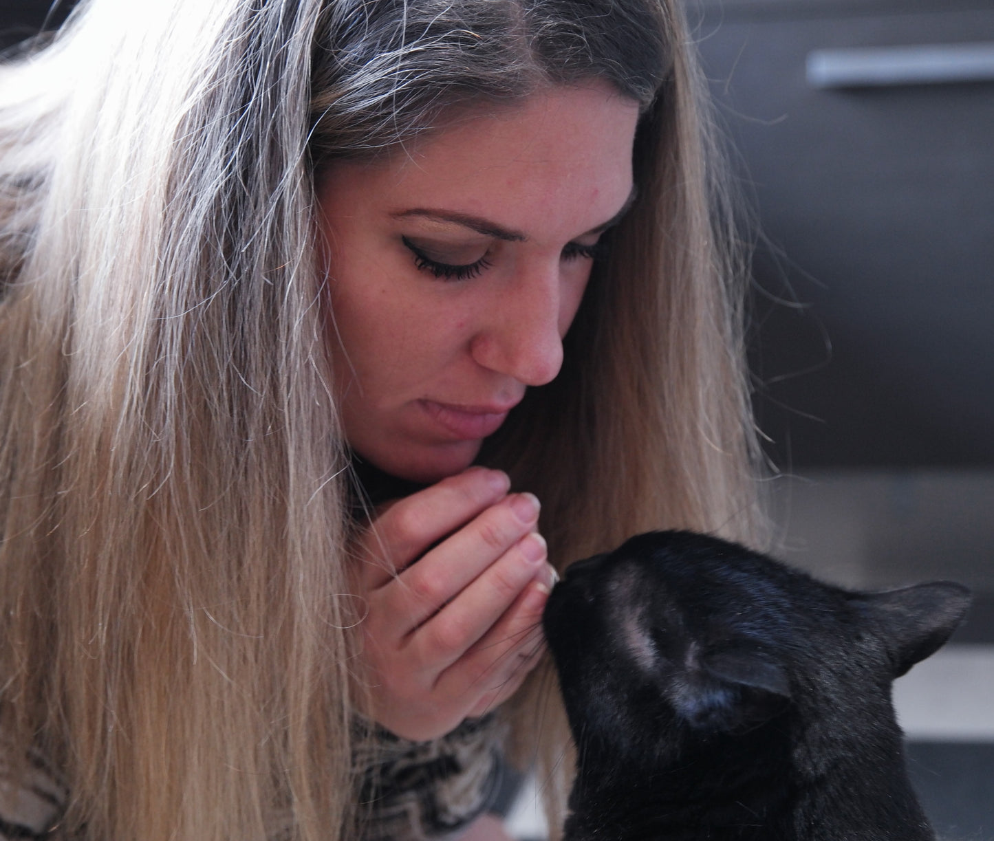 Communication Animale