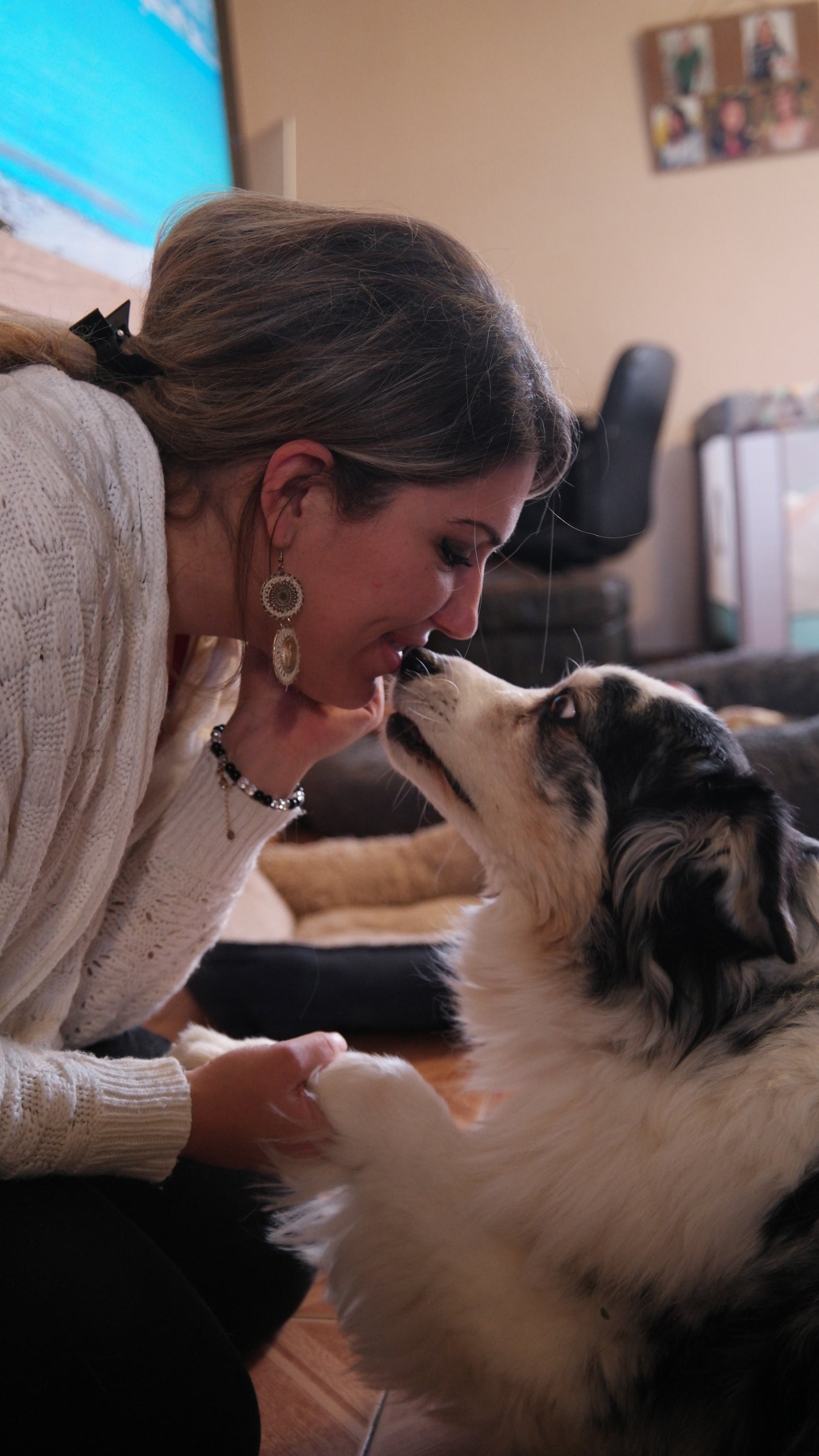 Formation communication animale individuel