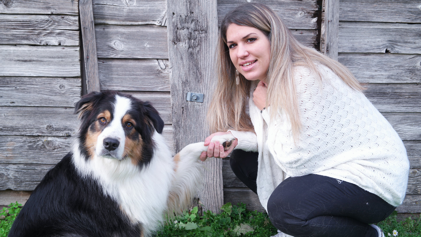 Soin énergétique animal