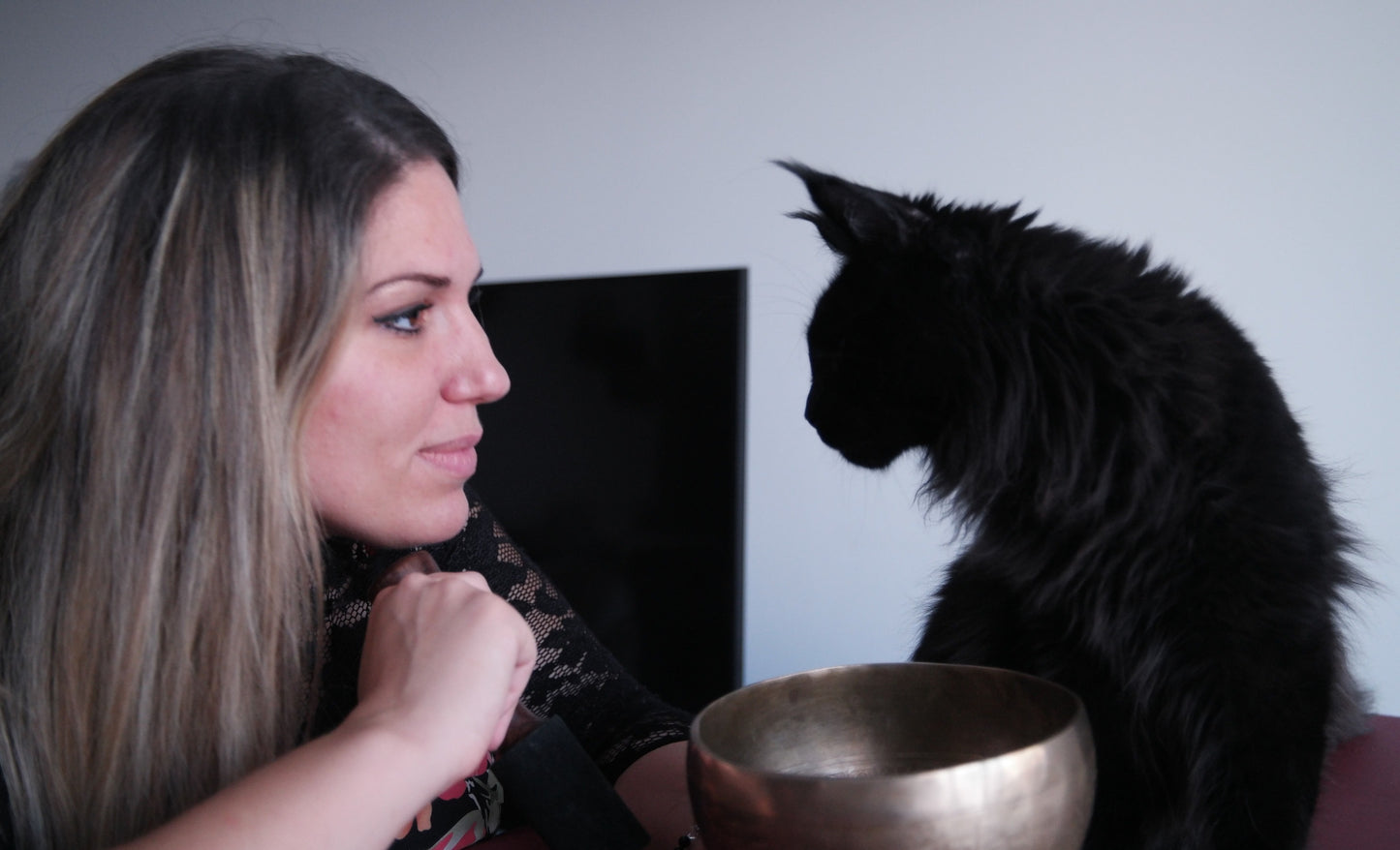 Soin sonor’animale